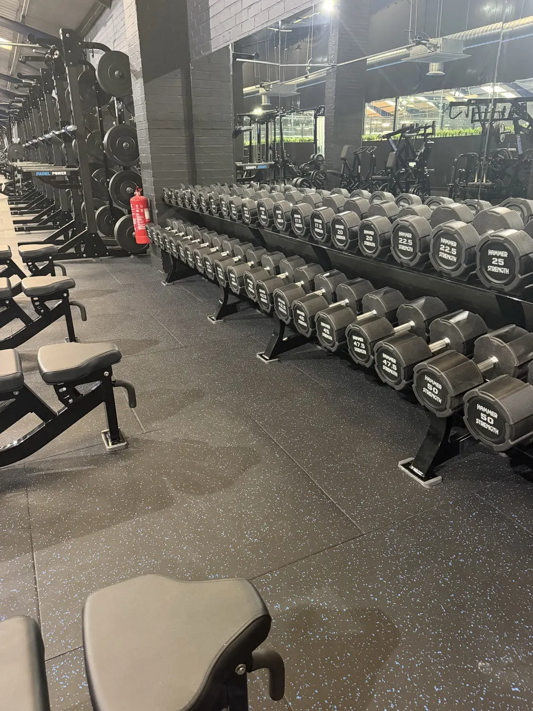 Dumbbell rack in the free weights area