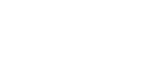 Juno, the agency behind this website